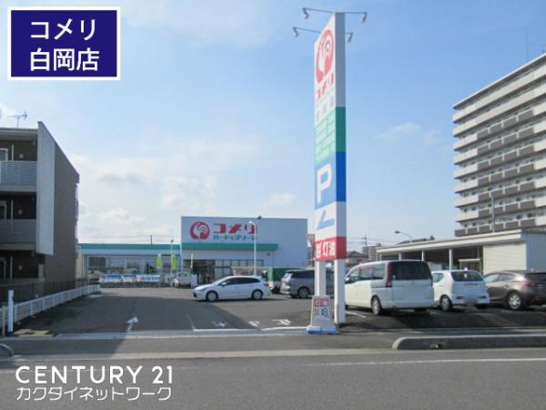 白岡市岡泉０１期　全１棟(コメリハード＆グリーン白岡店)