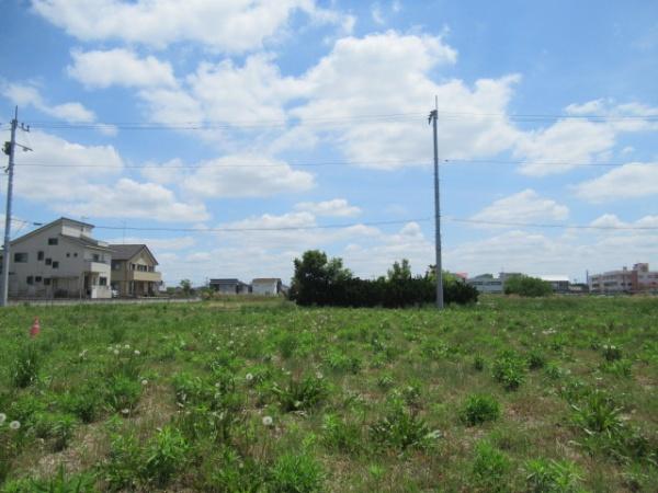 白岡市千駄野の土地