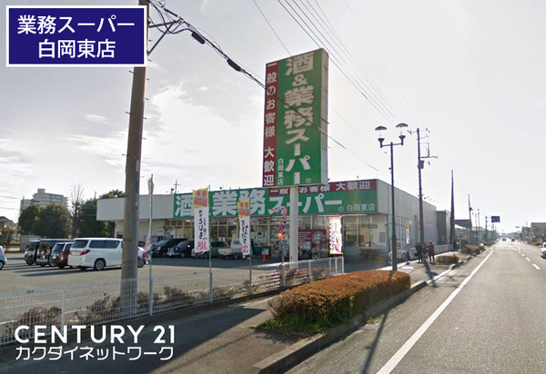 白岡市篠津の土地(業務スーパー白岡東店)