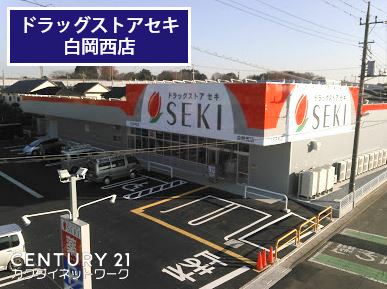 白岡市篠津の土地(ドラッグストアセキ白岡西店)