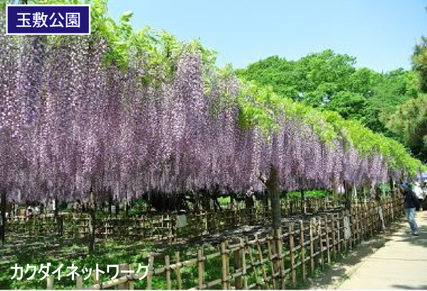 加須市中ノ目の土地(玉敷公園)