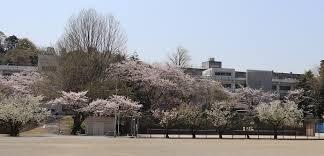 横須賀市坂本町1丁目の土地(横須賀市立坂本中学校)