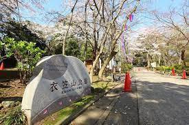 横須賀市平作７丁目の土地(衣笠公園)