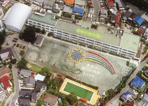 クリオ衣笠フィルソーレ　8階角(横須賀市立衣笠小学校)