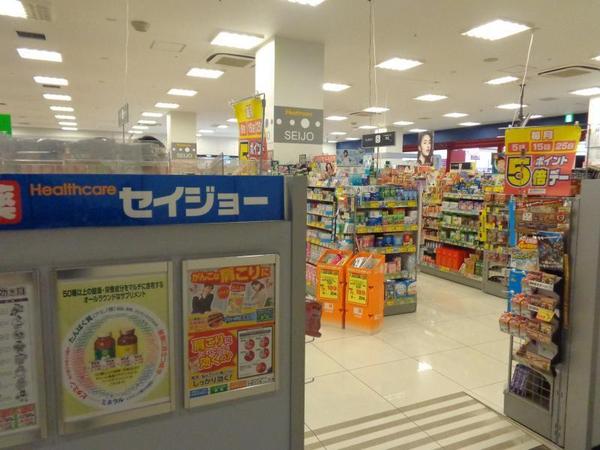 田中日榮ハイム横須賀(ヘルスケアセイジョーヴィスポ横須賀店)