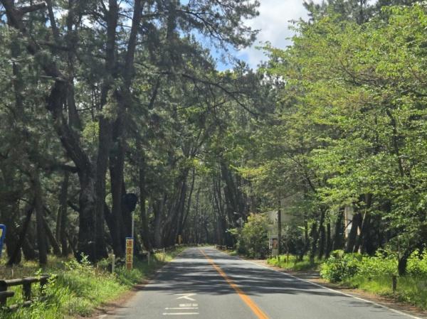唐津市浜玉町浜崎の土地