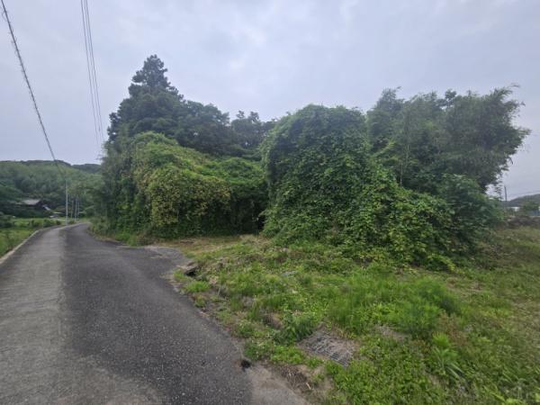 糸島市志摩井田原売地