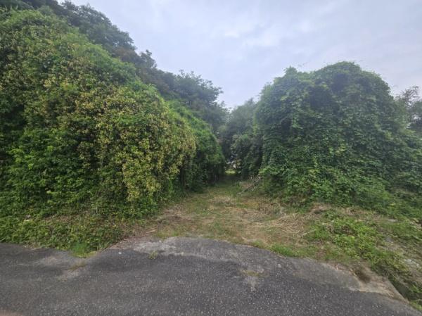 糸島市志摩井田原の土地