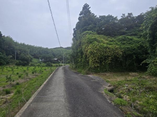 糸島市志摩井田原の土地