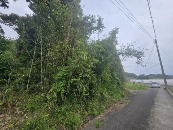 糸島市志摩井田原の土地
