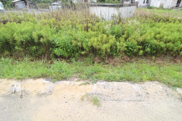 糸島市加布里６丁目の売土地