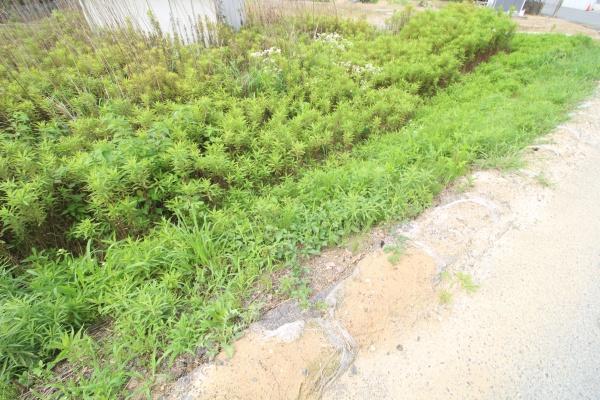 糸島市加布里６丁目の売土地