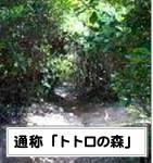 糸島市志摩芥屋の中古一戸建て(トトロの森)
