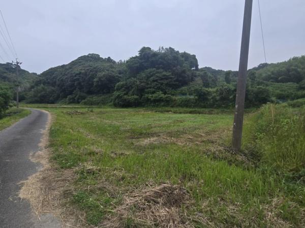 糸島市志摩井田原土地【農地】