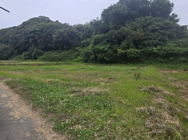 糸島市志摩井田原土地【農地】