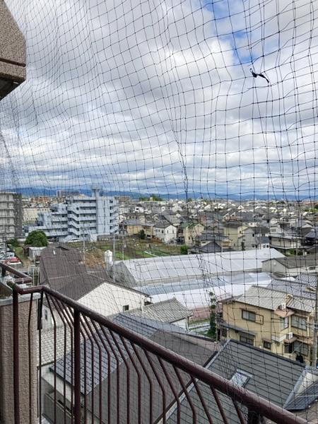 嵯峨ハイツ