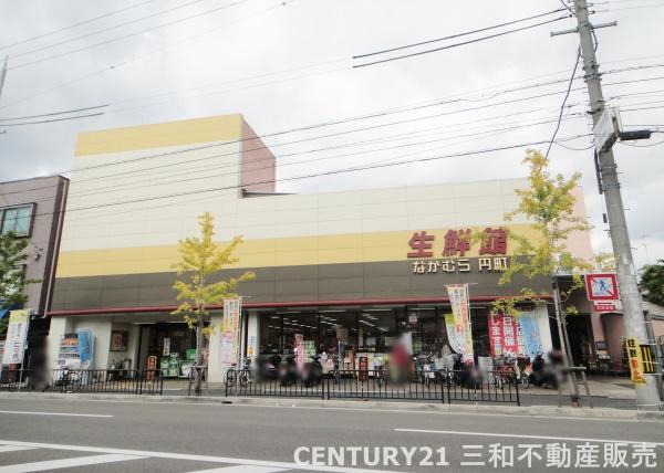 西ノ京スカイハイツA棟(生鮮館なかむら円町店)