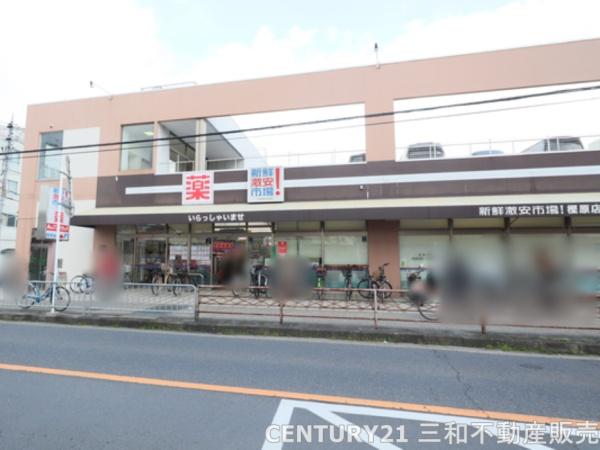 京都市西京区樫原宇治井町の中古一戸建て(ホップス樫原店)