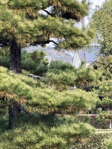 京都市北区平野八丁柳町の中古一戸建て