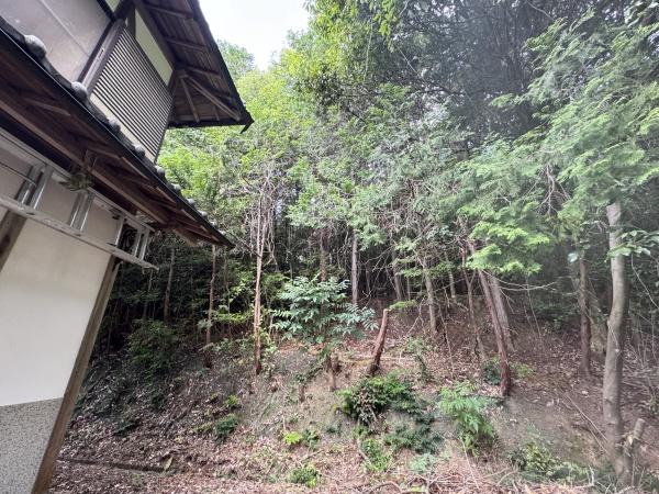 園部町小山東町馬谷