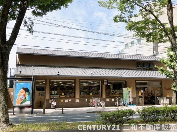 チサンマンション一乗寺(生鮮館なかむら白川店)