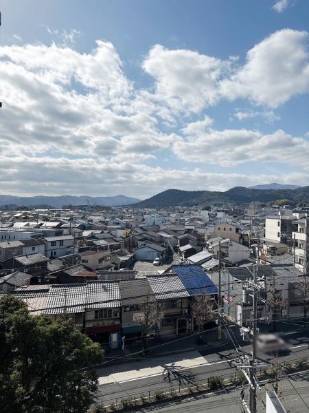 コスモ紫野