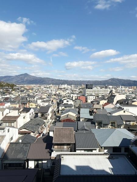 コスモ紫野