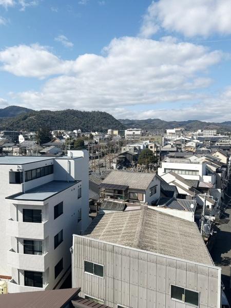 コスモ紫野