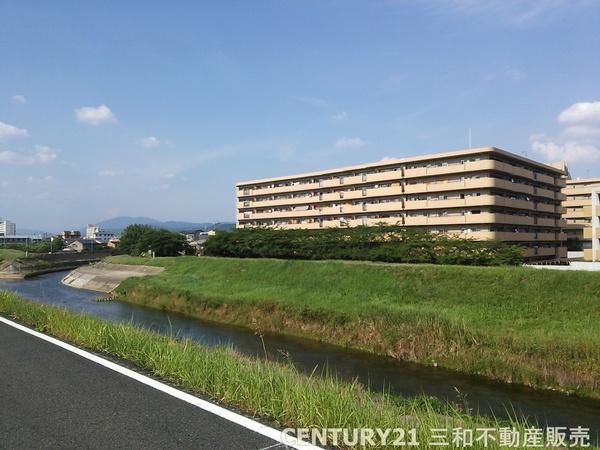ディオ・フェルティ丹波橋右芳館