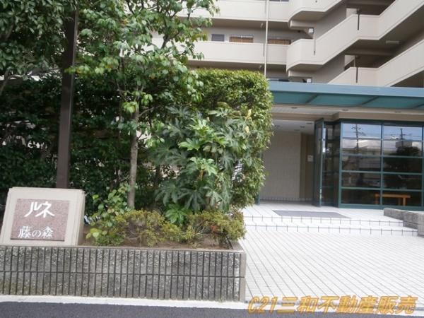 ルネ藤の森