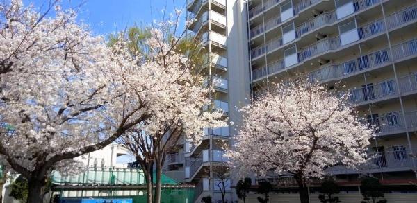 コープ野村浦和１号棟