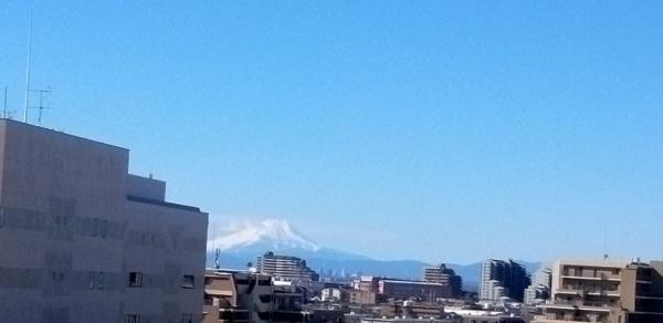 コープ野村浦和１号棟