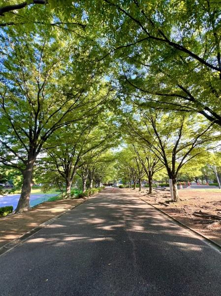 さいたま市大宮区三橋２丁目の土地