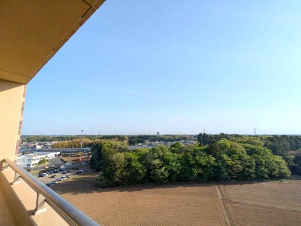 アデニウムつくば万博記念公園