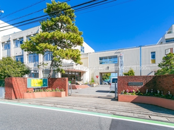 川口市大字藤兵衛新田の土地(川口市立戸塚中学校)