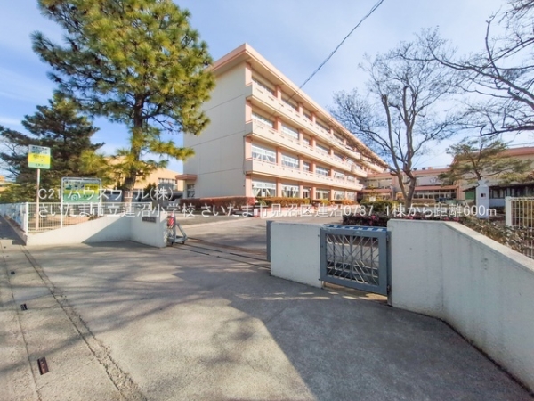 さいたま市見沼区大字蓮沼の新築一戸建(さいたま市立蓮沼小学校)