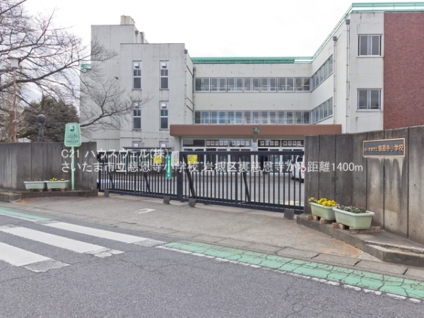 さいたま市岩槻区大字裏慈恩寺の新築一戸建(さいたま市立慈恩寺小学校)