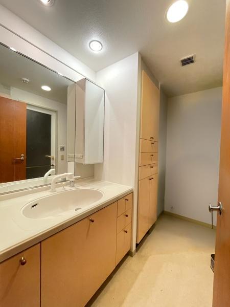 アーベイン川越南大塚デュアルアークス21(洗面台・洗面所)