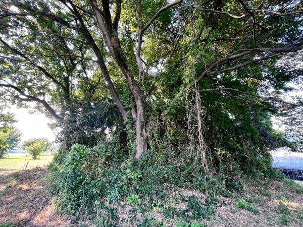 坂戸市大字多和目の土地