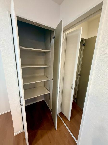 さいたま市大宮区天沼町1丁目の中古一戸建て(収納)