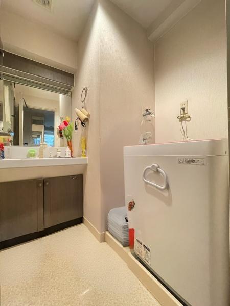 グリーンプラザ吉川(洗面台・洗面所)