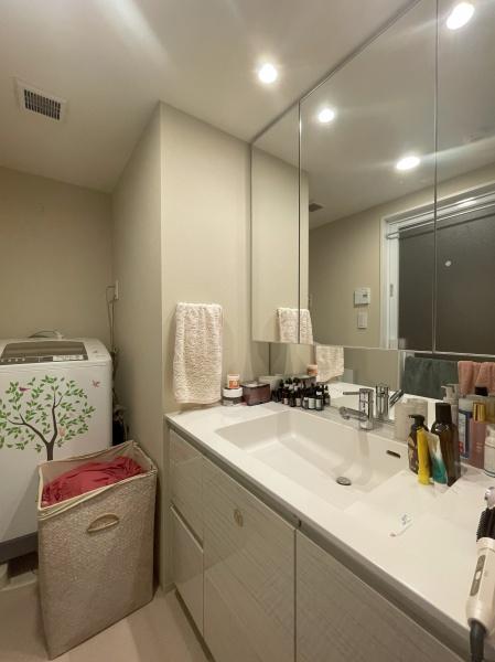 シティテラス小金井公園(洗面台・洗面所)