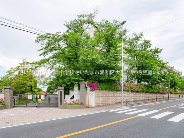 さいたま市浦和区大東１丁目の新築一戸建(さいたま市立木崎中学校)