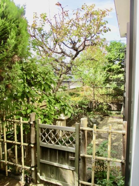 さいたま市緑区大字大門の中古一戸建て