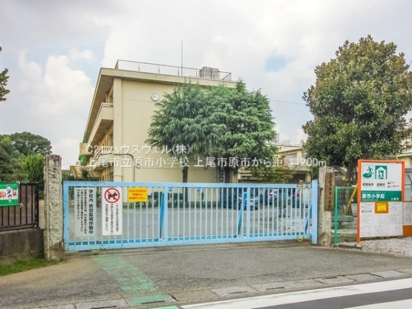 上尾市大字原市の土地(上尾市立原市小学校)