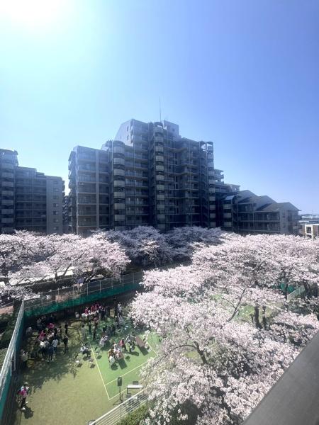 コープ野村クローバーシティ与野４番館