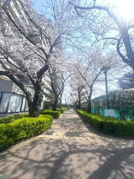 コープ野村クローバーシティ与野４番館