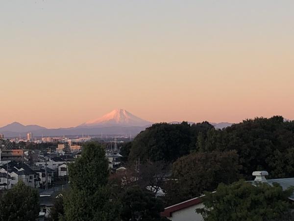 ルピアコート西大宮