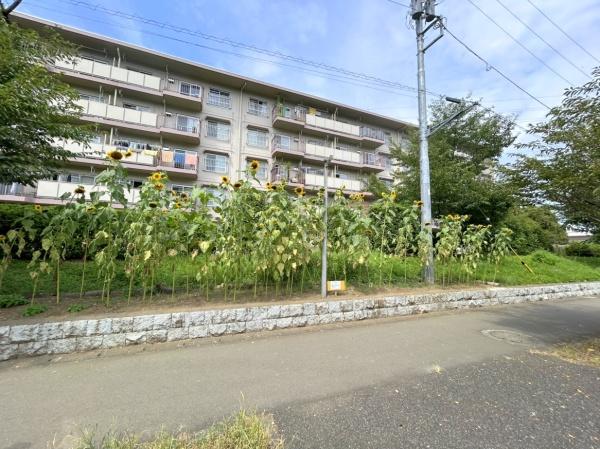 東坂戸団地