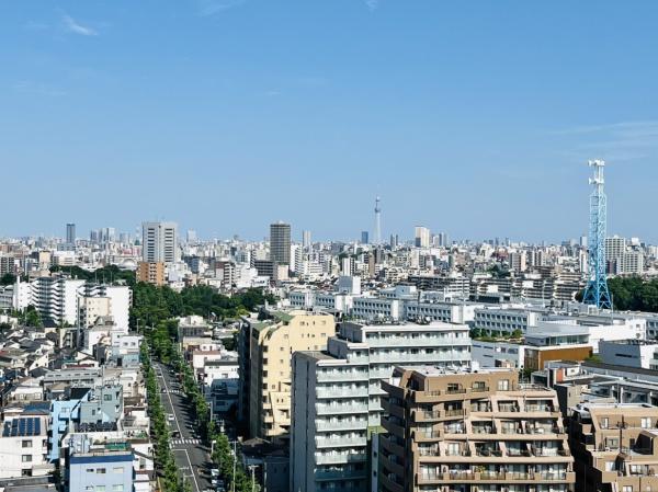 ザ・タワー十条